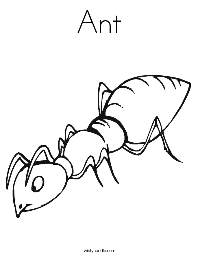 Ant Lovely