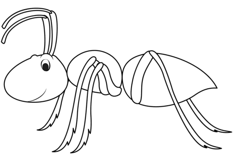 Ant Picture For Kids