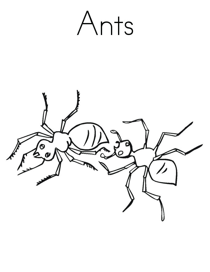 Ant Printable For Kids