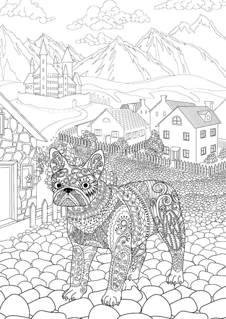 Antistress Bulldog In The City Coloring Page