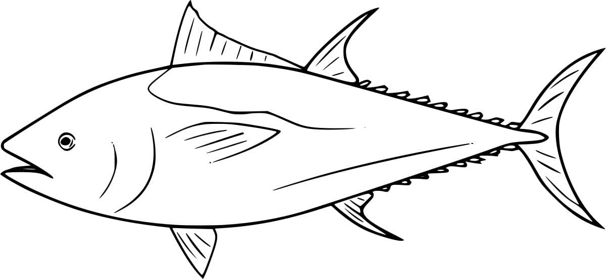 Atlantic Bluefin Tuna Coloring Page
