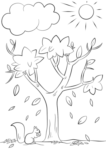 Autumn Squirrel Coloring Page