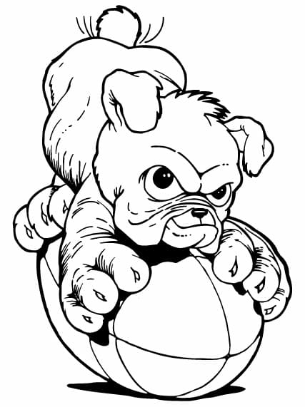 Baby Bulldog Image Coloring Page