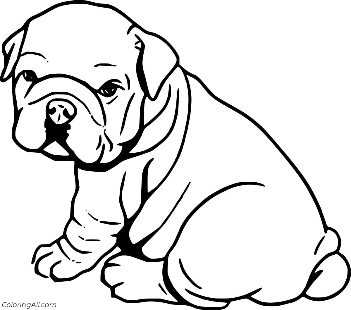 Baby Bulldog Picture Coloring Page