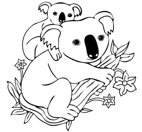 Baby Koala on Mother’s Back Free Printable Coloring Page