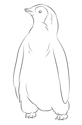 Baby Penguin Picture Coloring Page