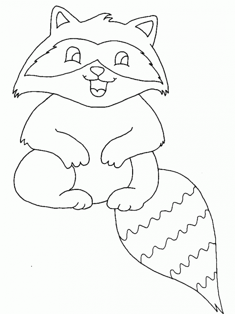 Baby Raccoon Coloring Page