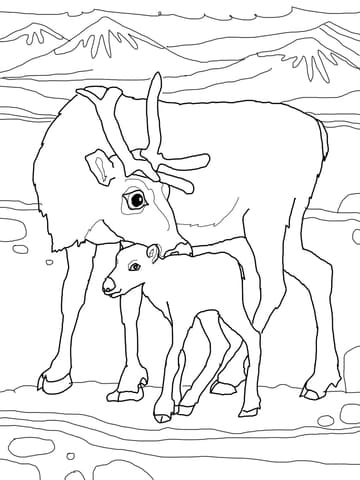 Baby Reindeer With Mother Free Coloring Page