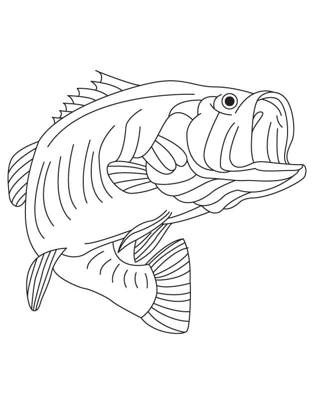 Bass Cute For Kids Coloring Page