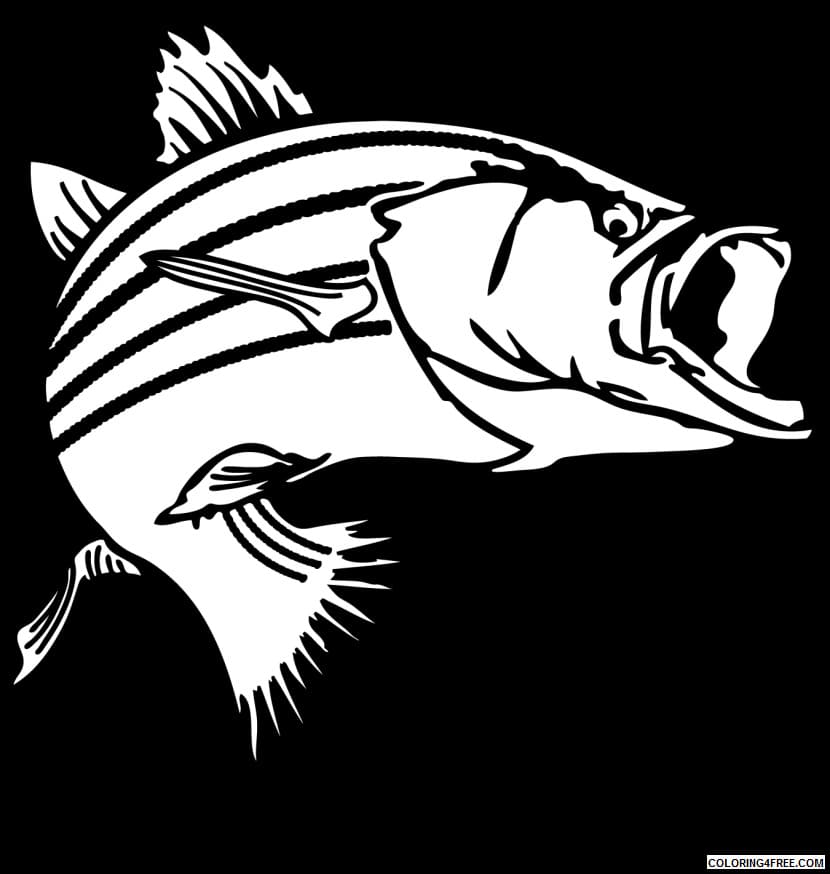 Bass Fish Black And White Coloring Page