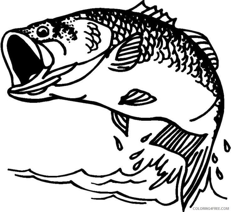 Bass Fish Body Print Coloring Page