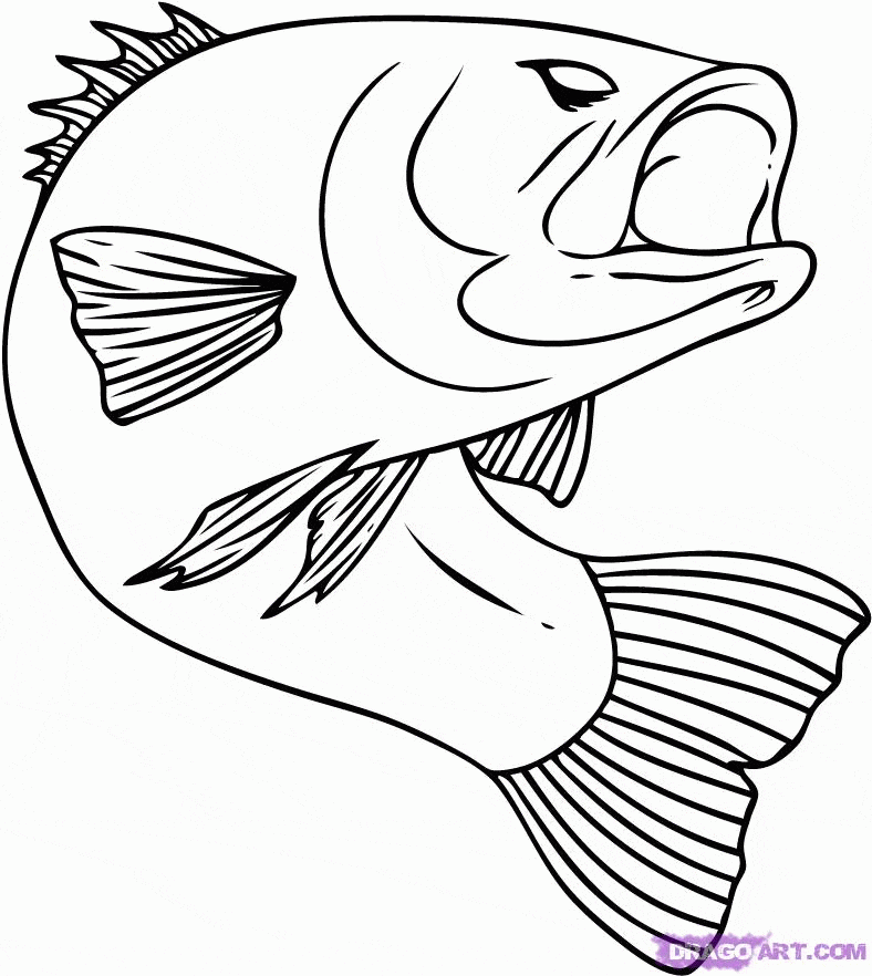 Bass Fish Image Cute Coloring Page