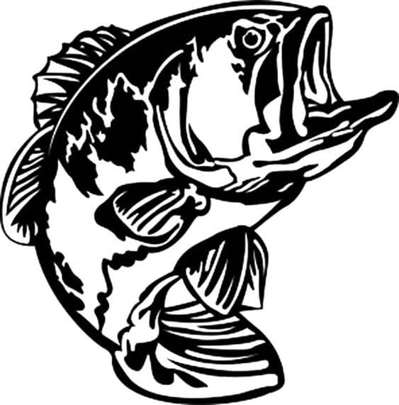 Bass Fish Open His Mouth Image Coloring Page