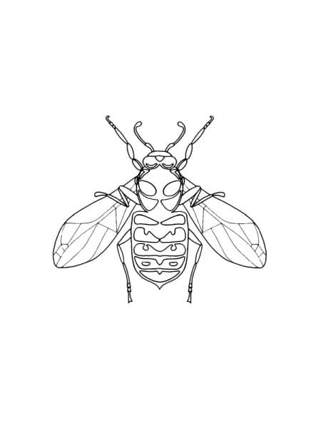 Baxter Fly Coloring Coloring Page