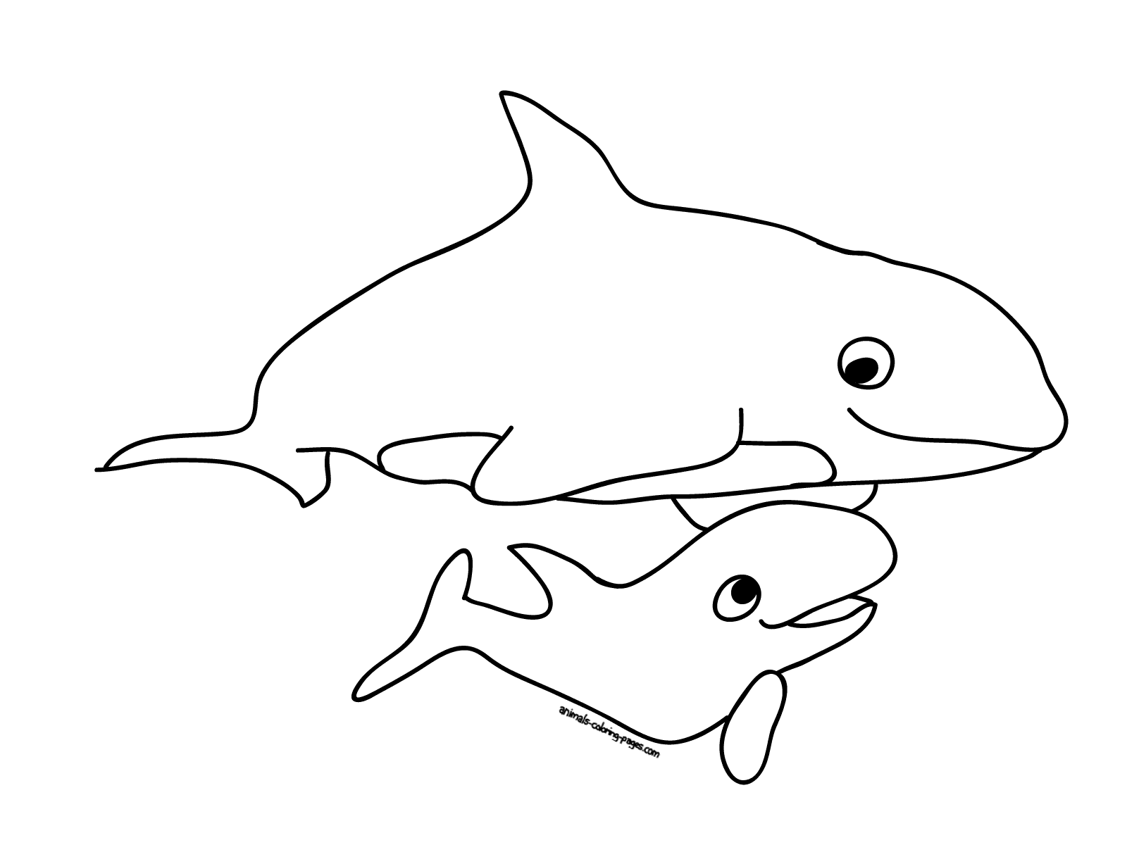 Best Whales Coloring Coloring Page