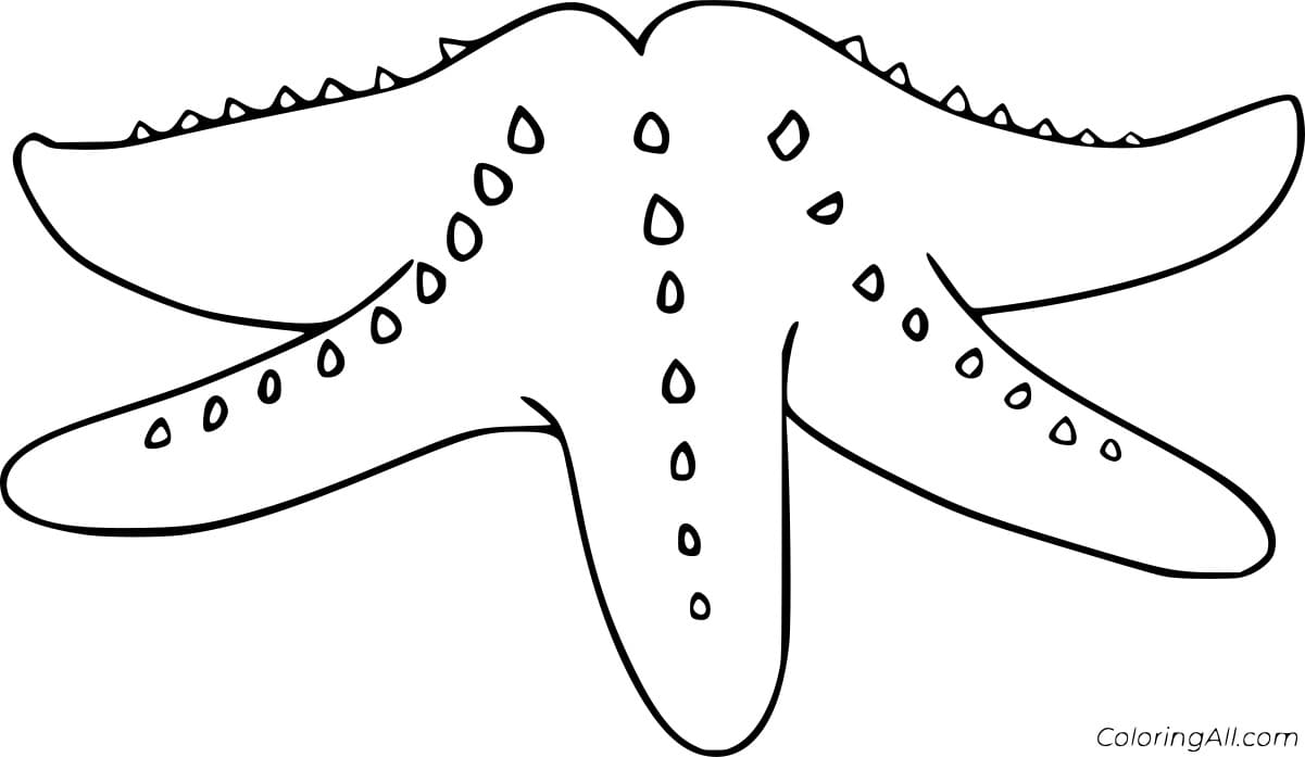 Blue Sea Star Image Coloring Page