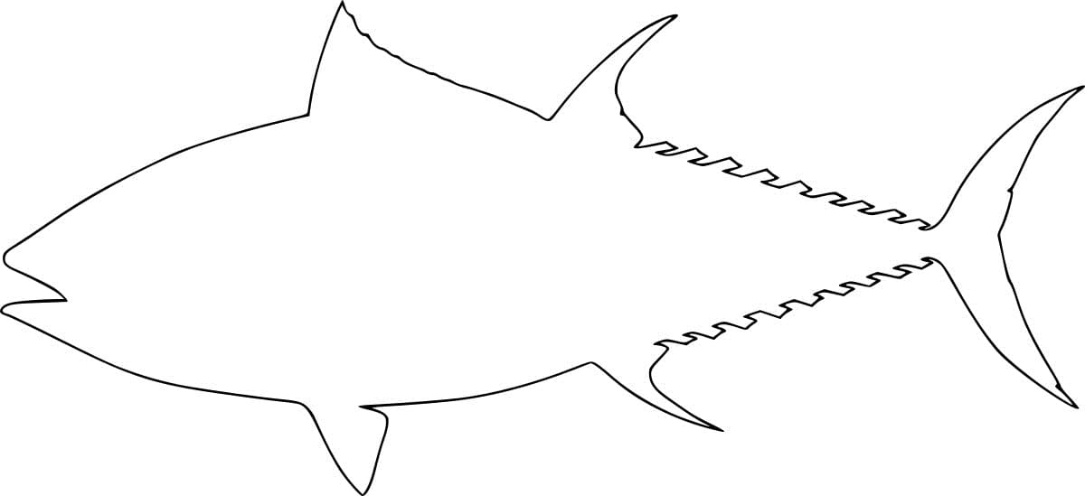 Bluefin Tuna Outline Coloring Page