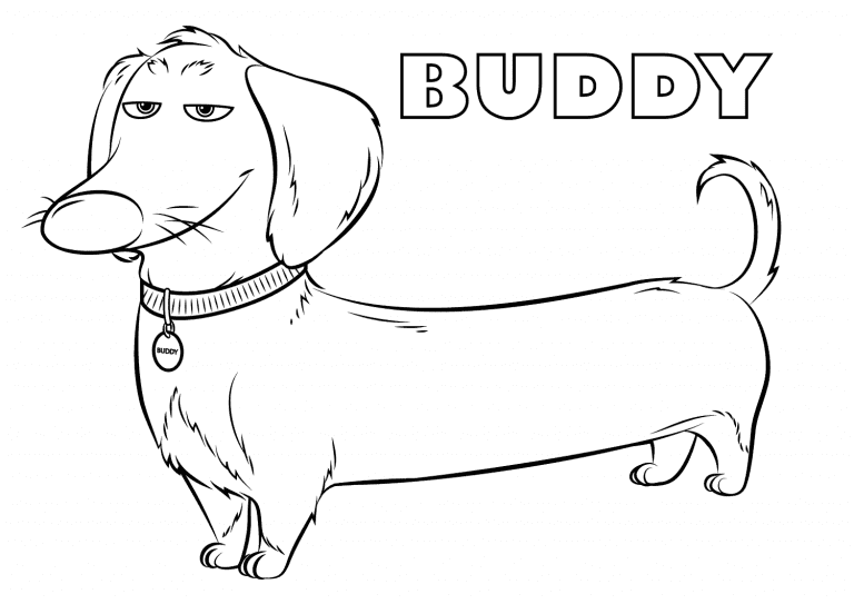 Buddy Dachshund Dog Coloring Coloring Page