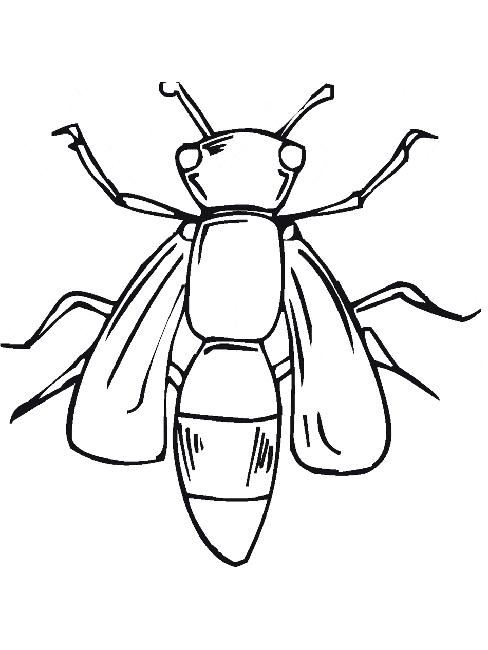Bugs Fly Image Coloring Page