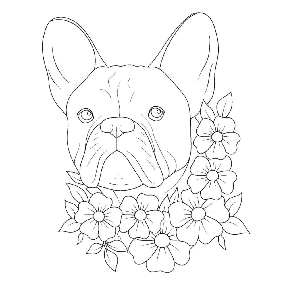Bulldog And Flowers Coloring Page