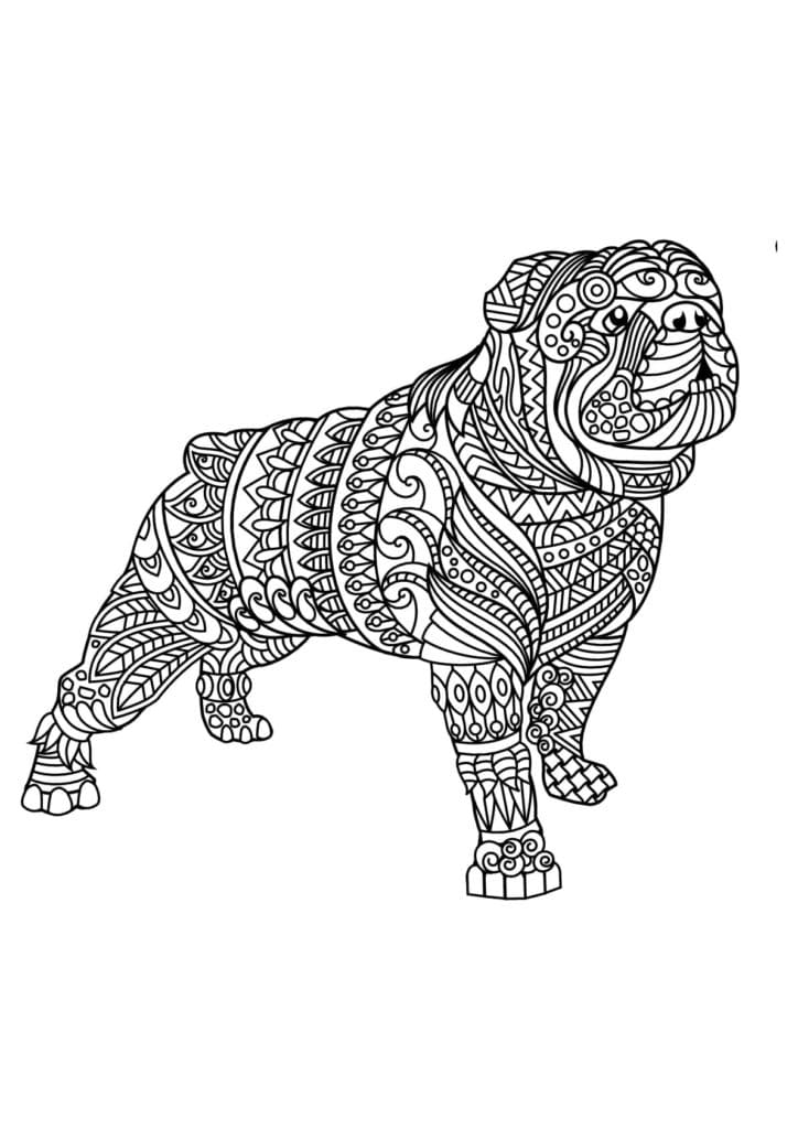 Bulldog Antistress Coloring Page