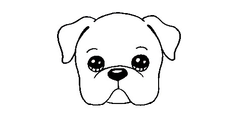 Bulldog-Drawing-2