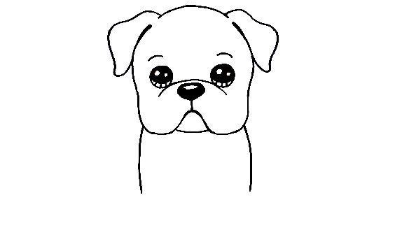 Bulldog-Drawing-3