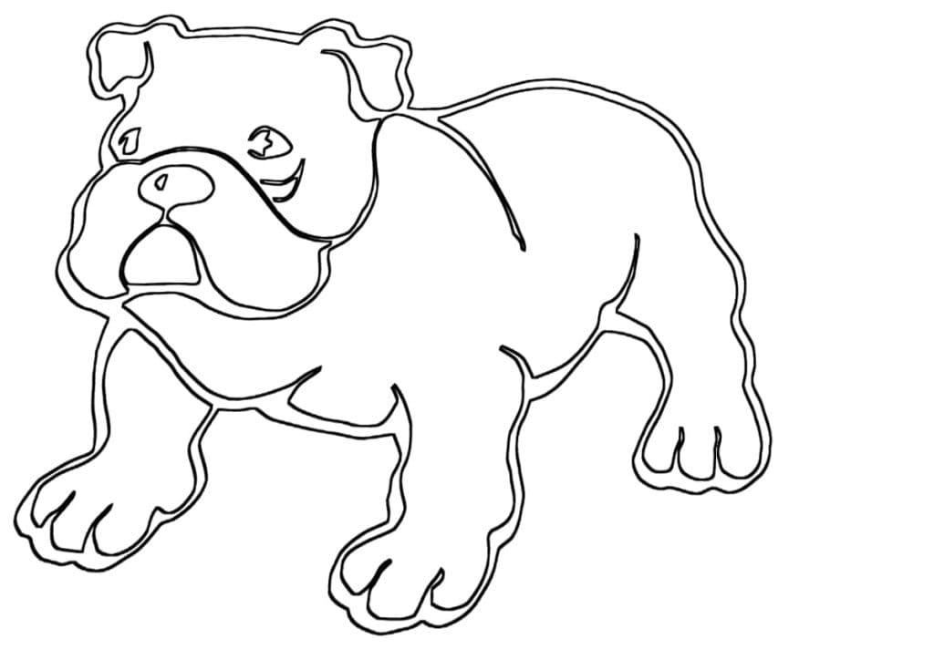 Bulldog Drawing Coloring Page