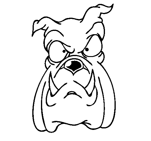 Bulldog Face Funny Coloring Page