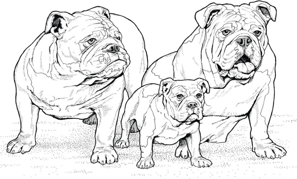 Bulldog Family Coloring Page