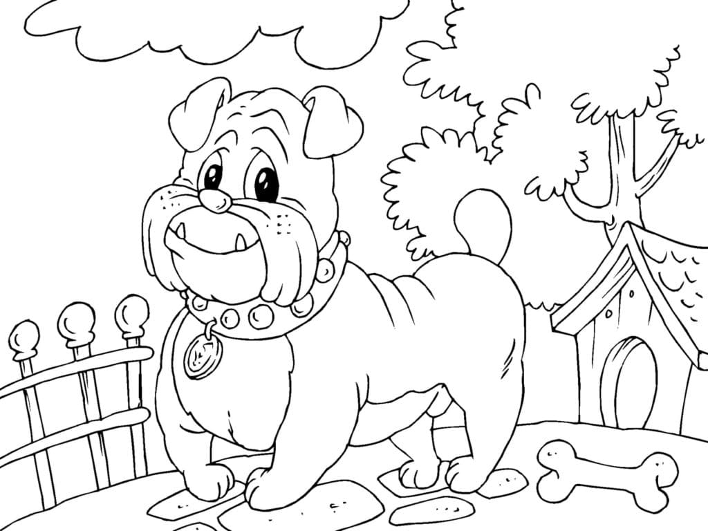 Bulldog For Children Image Coloring Page