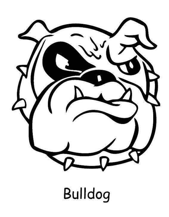 Bulldog Head Image Coloring Page