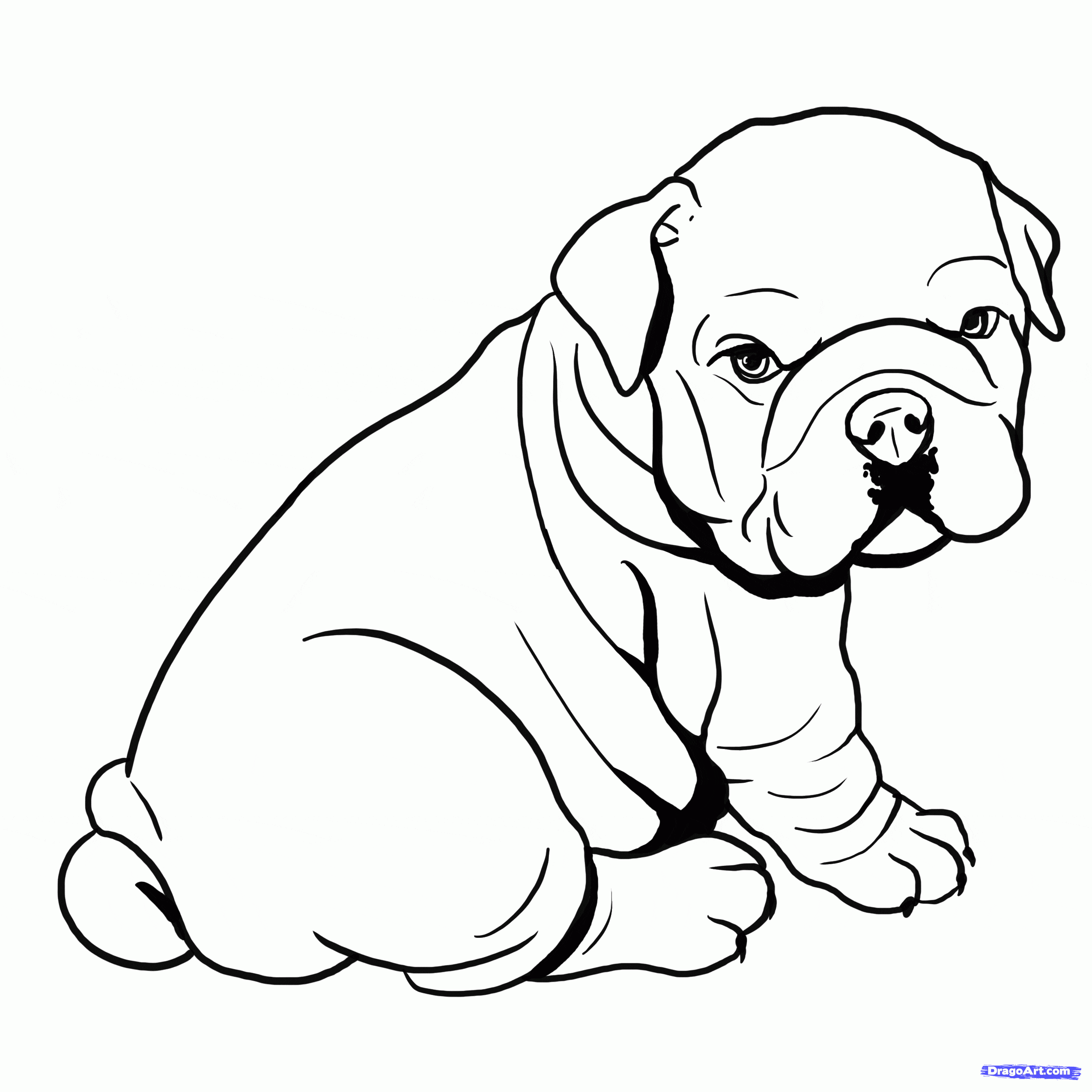 Bulldog Image Coloring Page