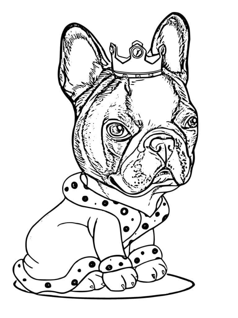 Bulldog King Coloring Page