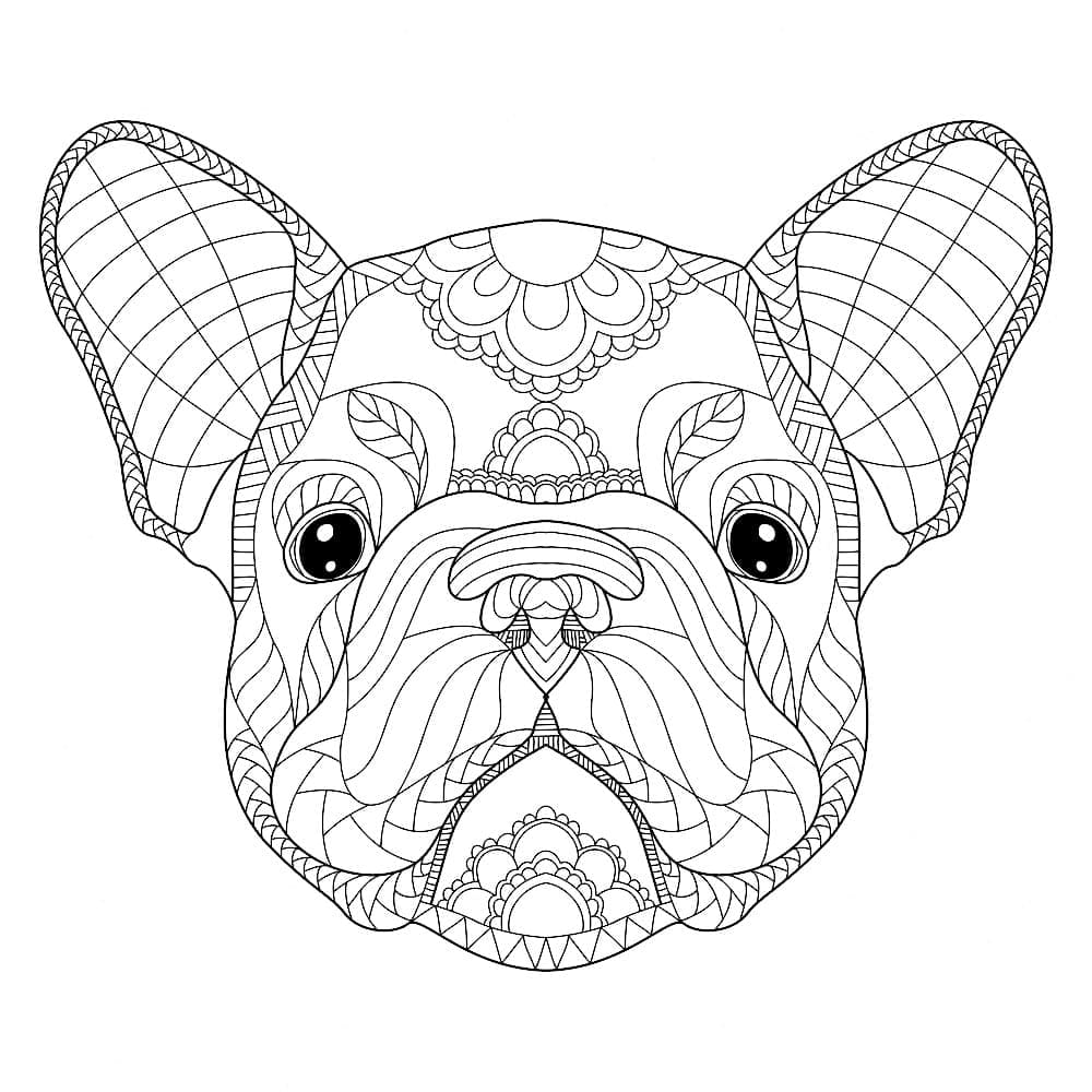Bulldog Muzzle For Kids Coloring Page