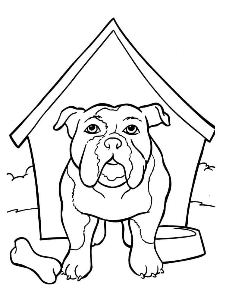 Bulldog Near The House Coloring Page