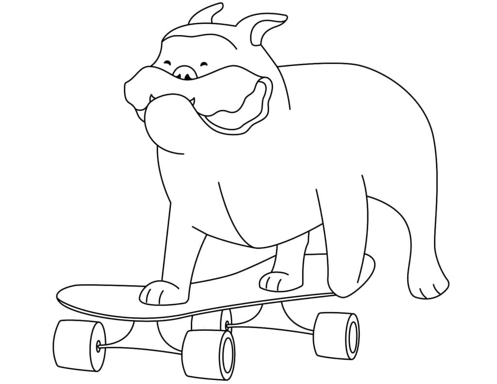 Bulldog On A Skateboard Coloring Page