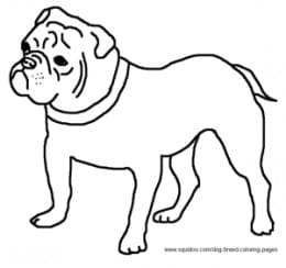 Bulldog Painting Coloring Page