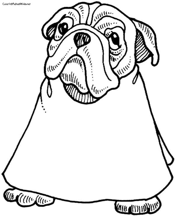 Bulldog Picture For Children Coloring Page