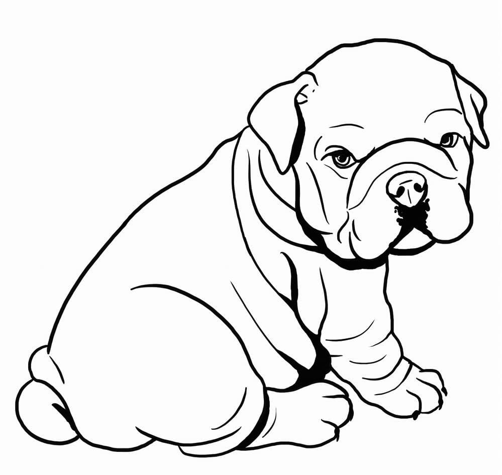 Bulldog Puppy Great Coloring Page