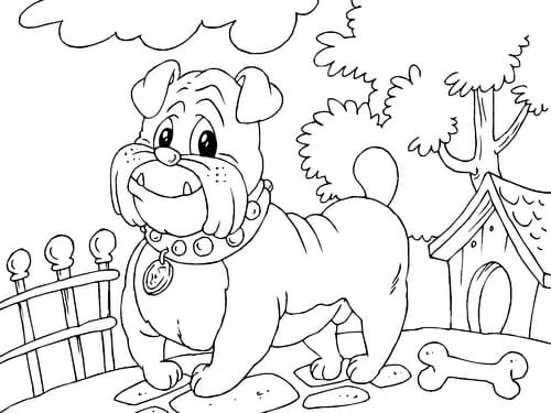 Bulldog Puppy Image Coloring Page