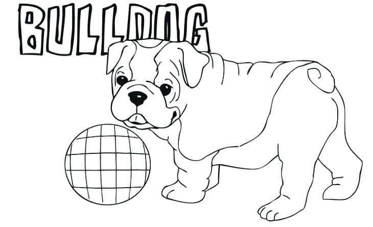 Bulldog Puppy Startling Coloring Page