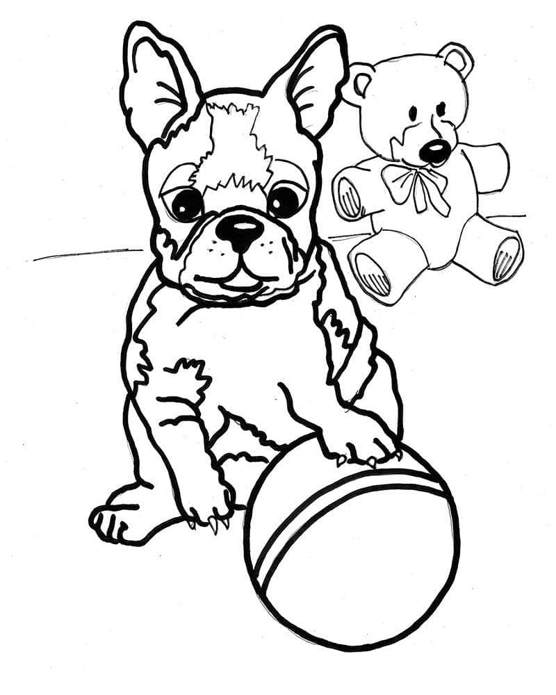 Bulldog With A Ball Coloring Page