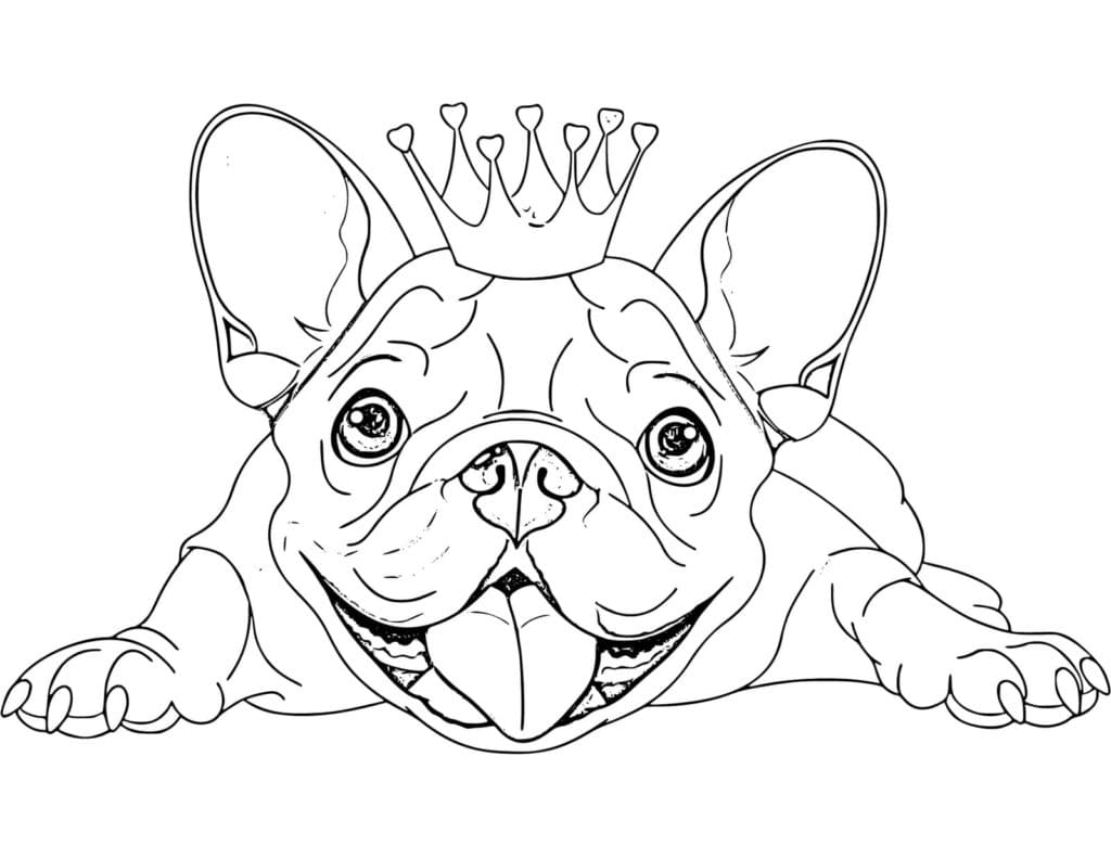 Bulldog With A Crown Coloring Page
