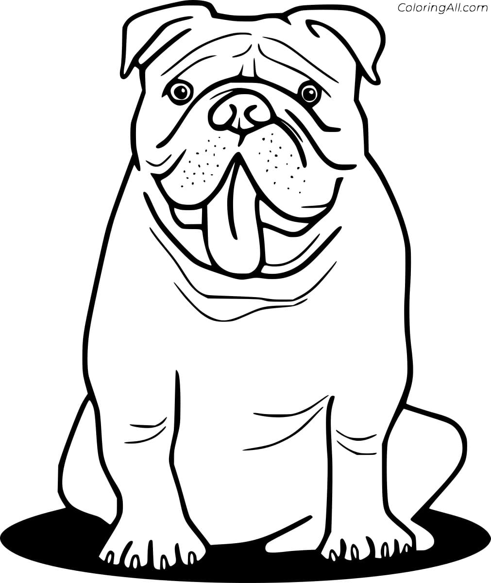 Bulldog In The Puddle Coloring Page
