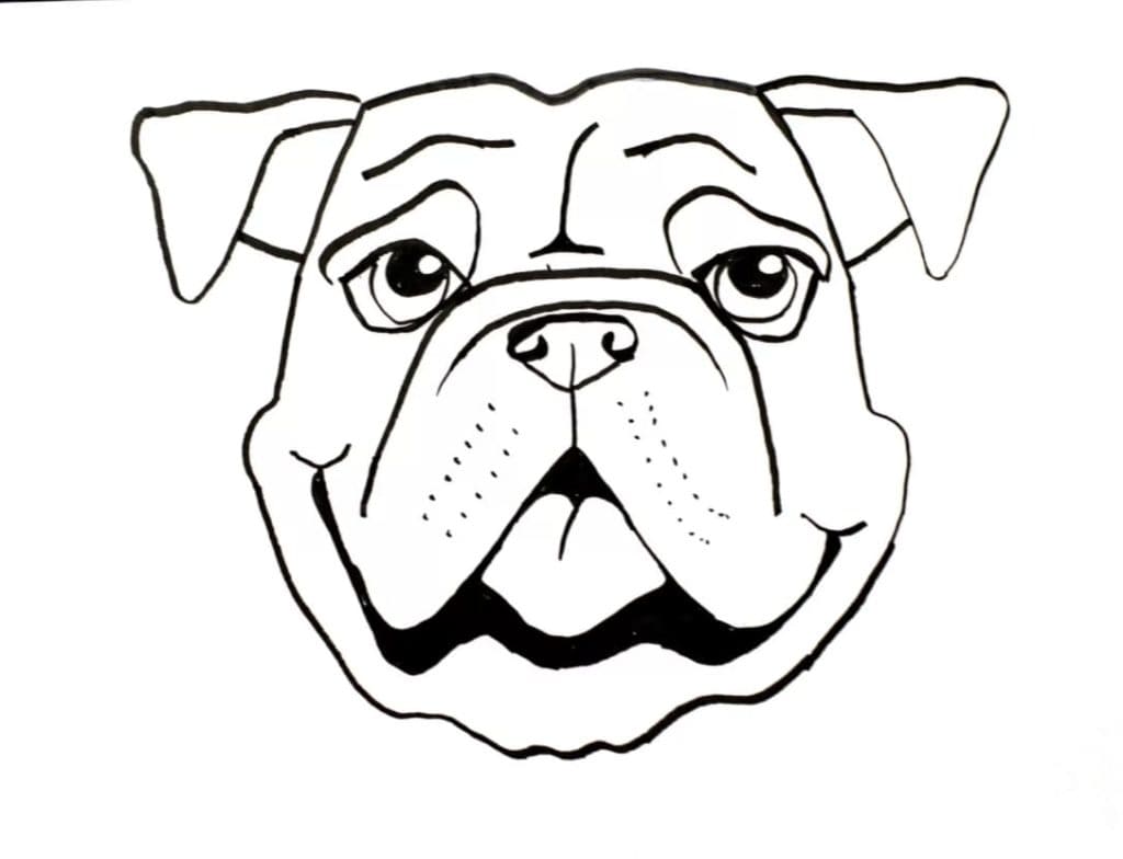 Bulldog Muzzle Coloring Page