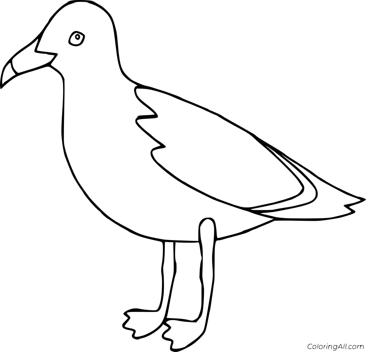 California Gull Coloring Page