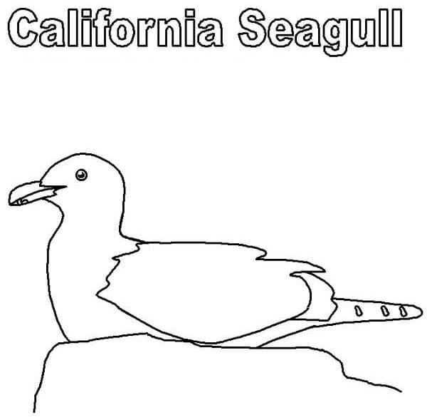 California Seagull Coloring Page