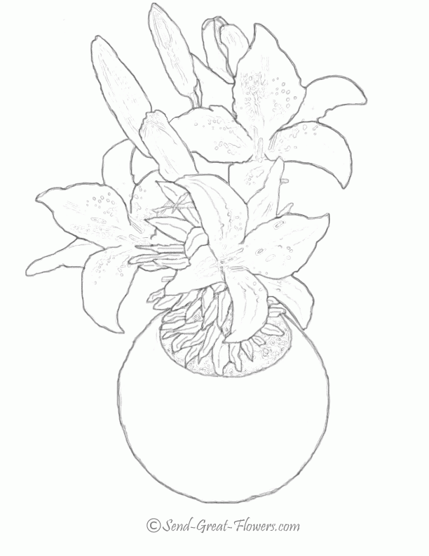 Calla Lily Download Image Coloring Page
