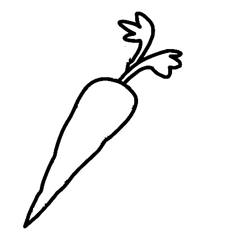 Carrot-Drawing-3
